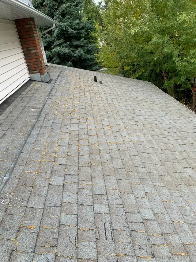 After: the same roof with substantially less visible moss; some residue remains