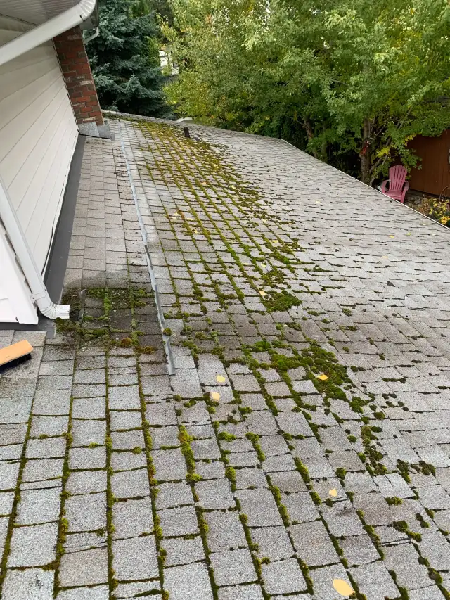 Before: moss along shingle rows beside white siding and a brick chimney
